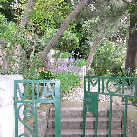 Villa Miomir Dubrovnik Exteriör bild