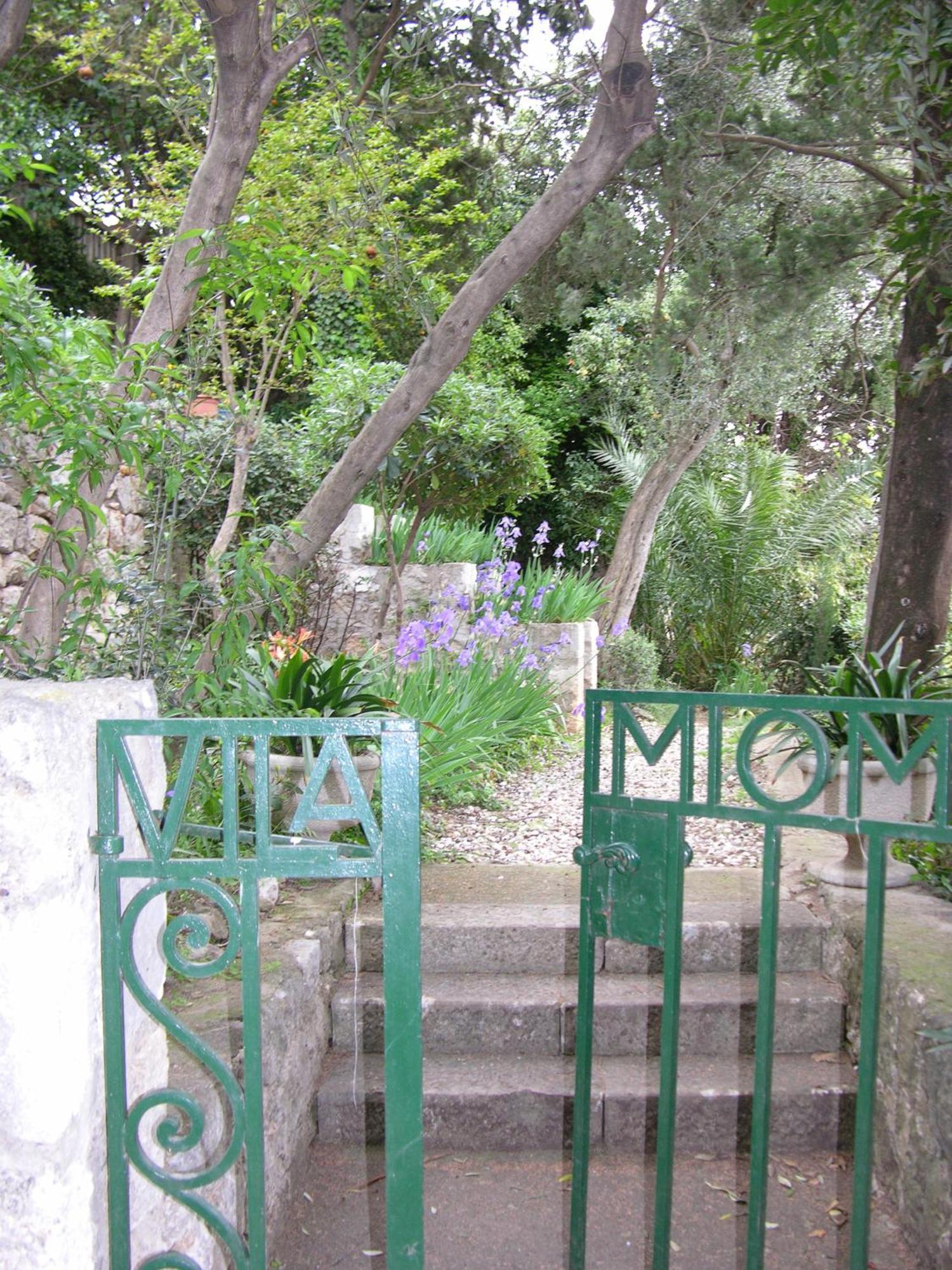 Villa Miomir Dubrovnik Exteriör bild