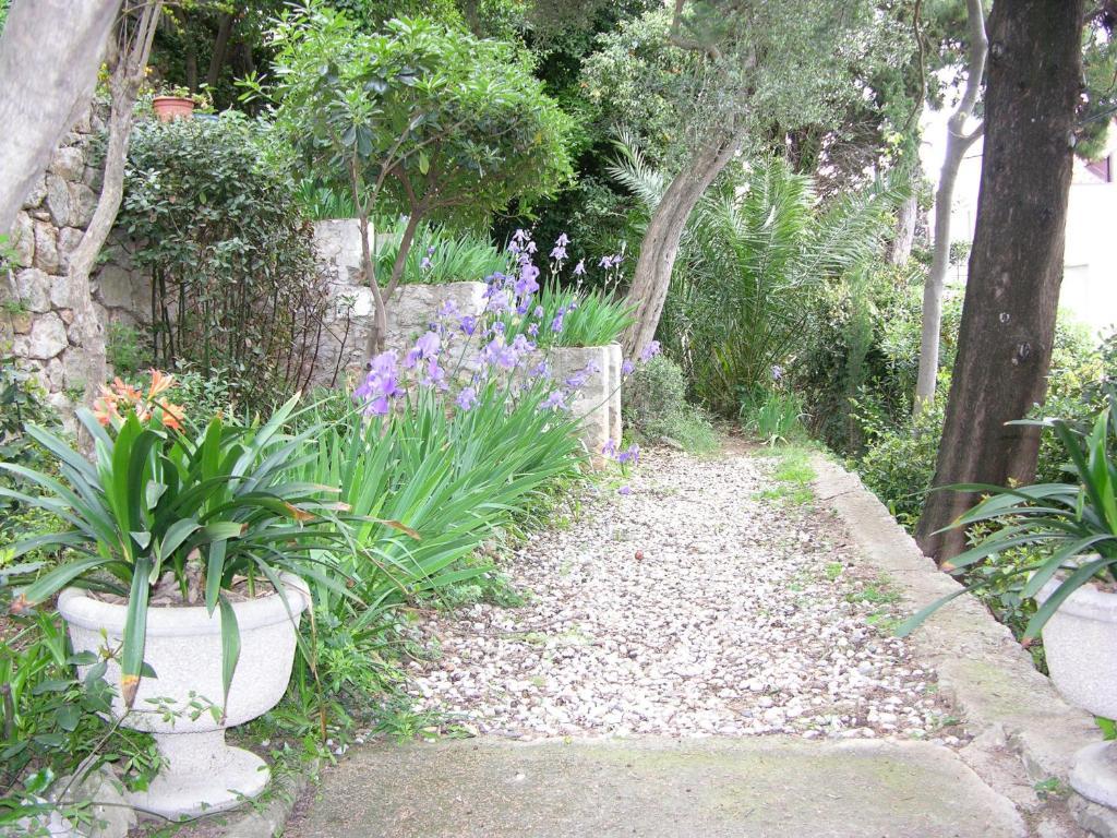Villa Miomir Dubrovnik Exteriör bild